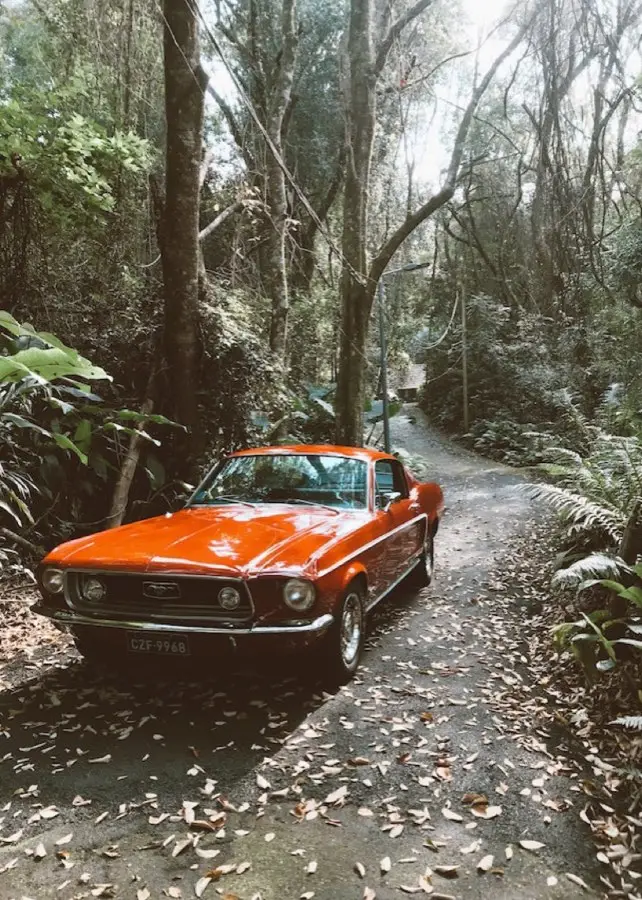 Exotic car restoration by WRC Collision